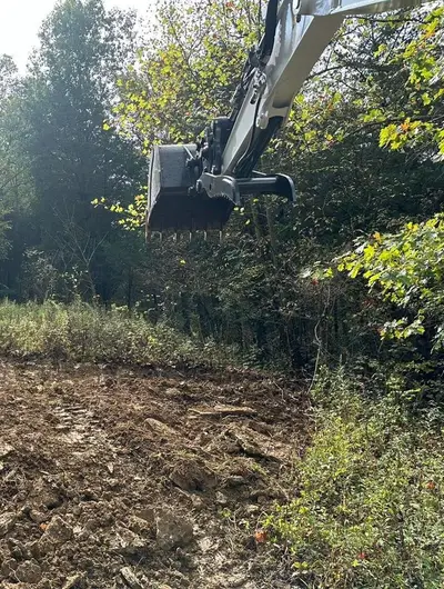 Land clearing project 2