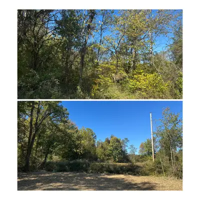 Land clearing project 11