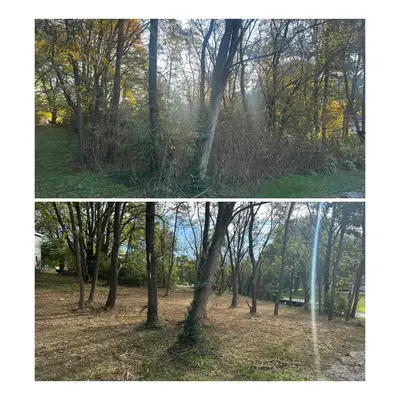 Land clearing project 12