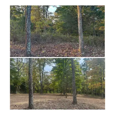 Land clearing project 13