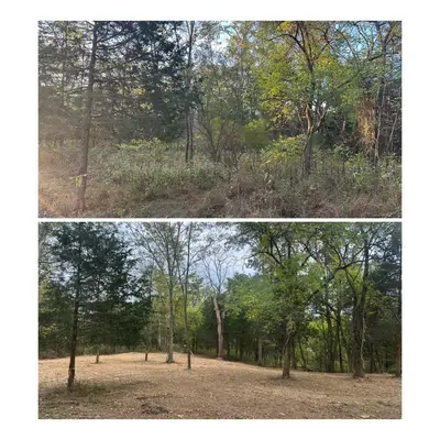 Land clearing project 14