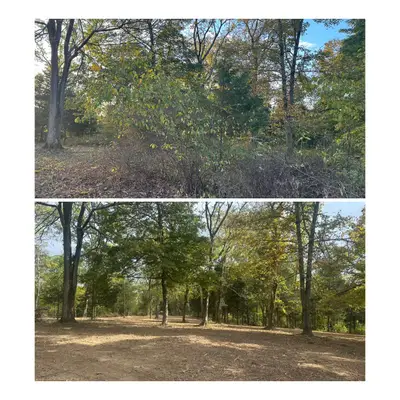 Land clearing project 15