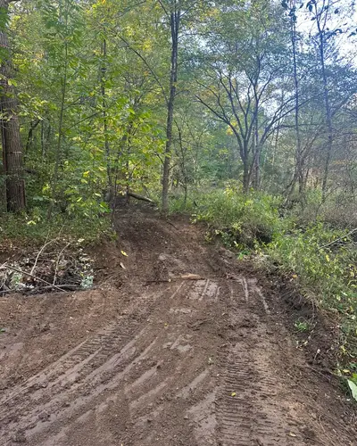 Land clearing project 16