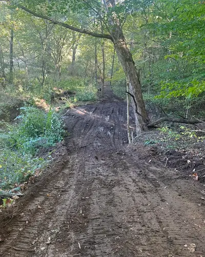 Land clearing project 17